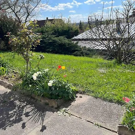 Maison Avec Jardin 5 Min Vichy 5 Min Voie Verte *