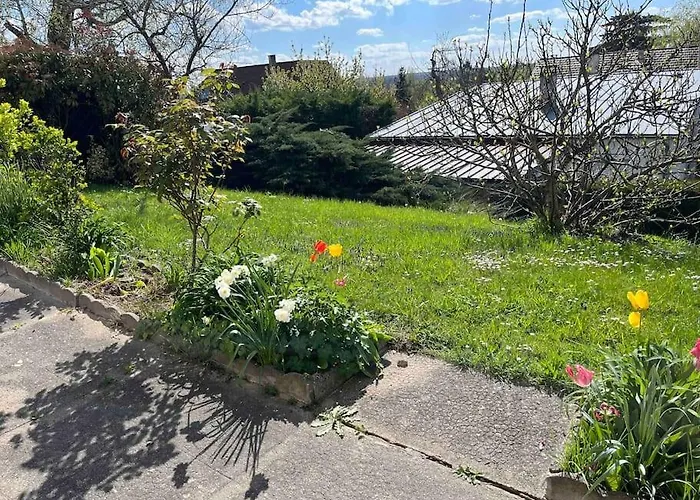 Maison Avec Jardin 5 Min Vichy 5 Min Voie Verte *